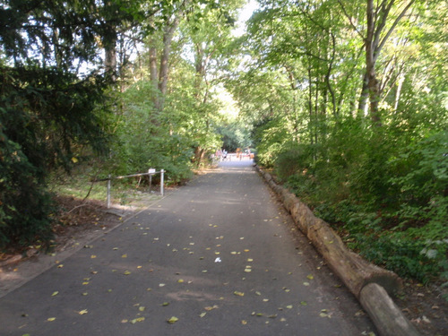 The actual path that we took through the Tea Garden.